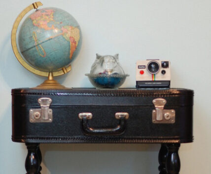 suitcase pet bed