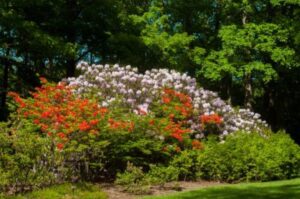 What the Heck Is Hugelkultur? (Hint: Think Garden, Not Oktoberfest)