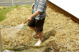 Kid in garden
