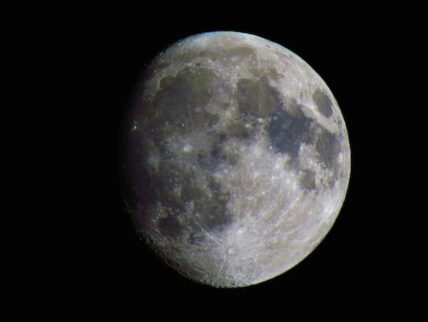 lunar gardening
