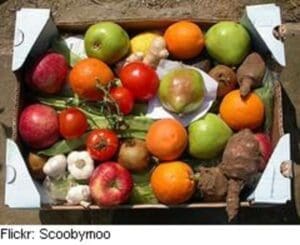 Cardboard box filled with fresh organic produce including apples, oranges, tomatoes, mushrooms, and