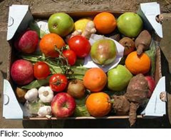 Cardboard box filled with fresh organic produce including apples, oranges, tomatoes, mushrooms, and