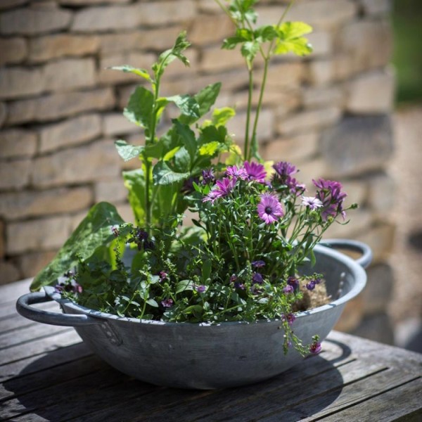 Fun indoor and outdoor planters for your space.