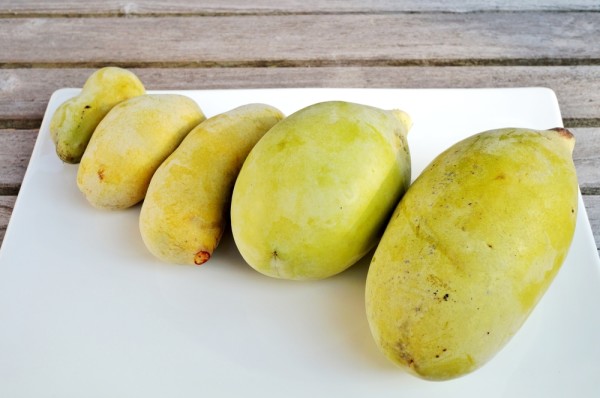 Pawpaw fruit cut open.