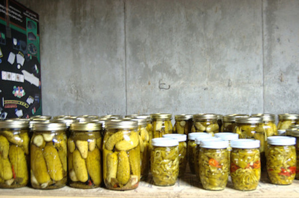 pickles