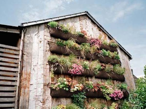 vertical garden