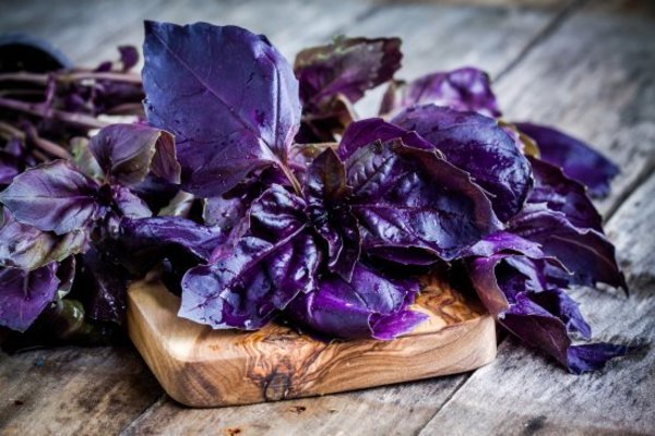Flavor Level Up: Secrets for Growing Basil