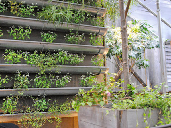 vertical garden