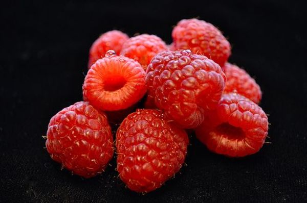 Raspberries - Organic Authority