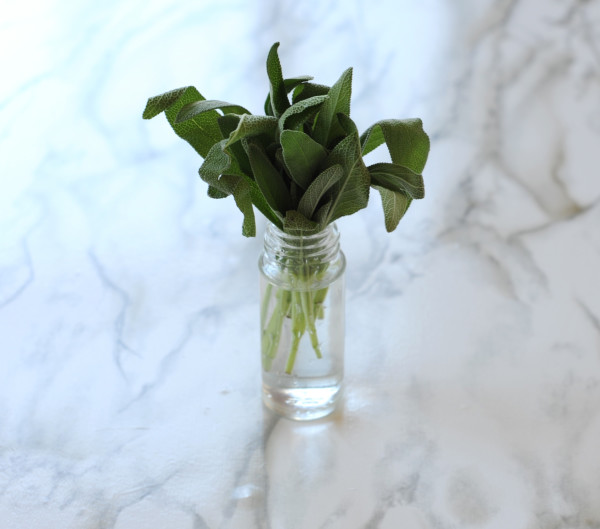 sage leaves