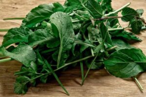 Starting your salad garden now.