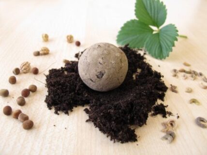 Get Bombed! How To Make a Seed Bomb in 3 Super Easy Steps