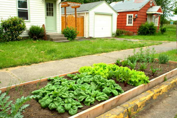 Los Angeles City Sidewalks are About to Become Overgrown with Edible Gardens