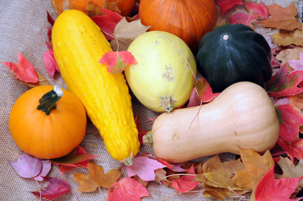 The Cannabis Kitchen Cookbook, squash