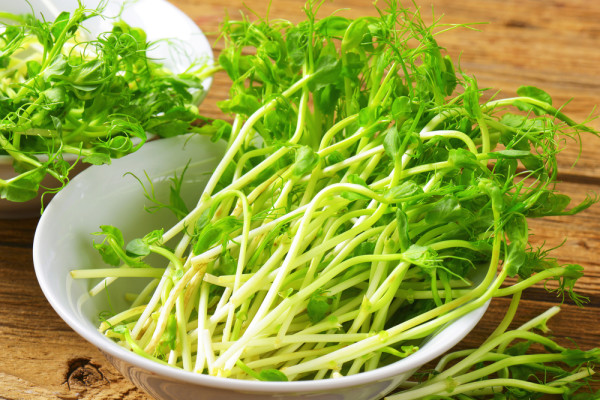 Simple recipes, pea