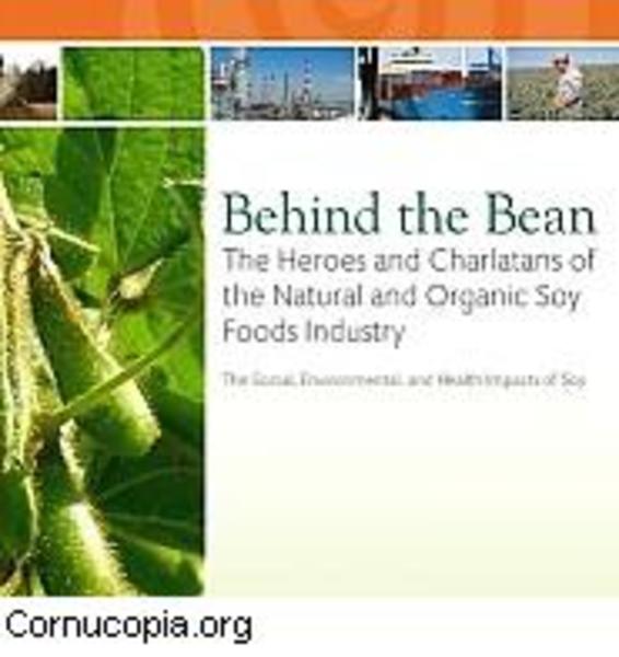 Book cover for "Behind the Bean" about the soy foods industry with soybean plant image