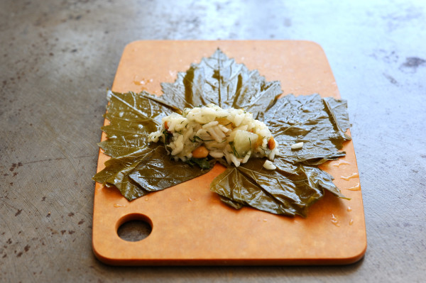 stuffed grape leaves