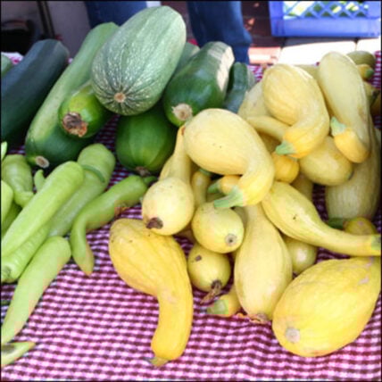 summer recipe ideas