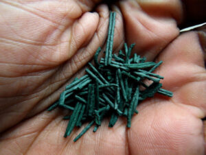 superfoods spirulina
