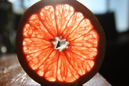 grapefruit