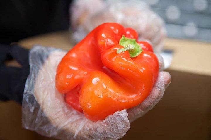 Food waste is sometimes labeled as such because of how it looks.