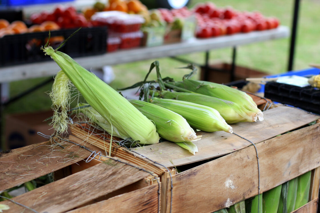 corn on the cob recipe