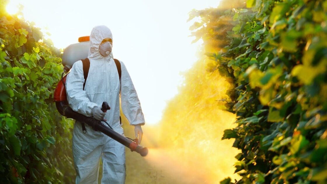Chlorpyrifos