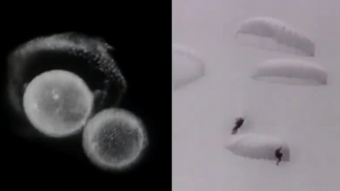 antibiotic resistance