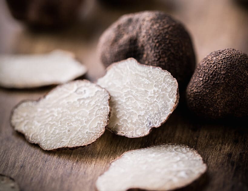 The Delicious Joy of Black Truffle Hunting in Umbria