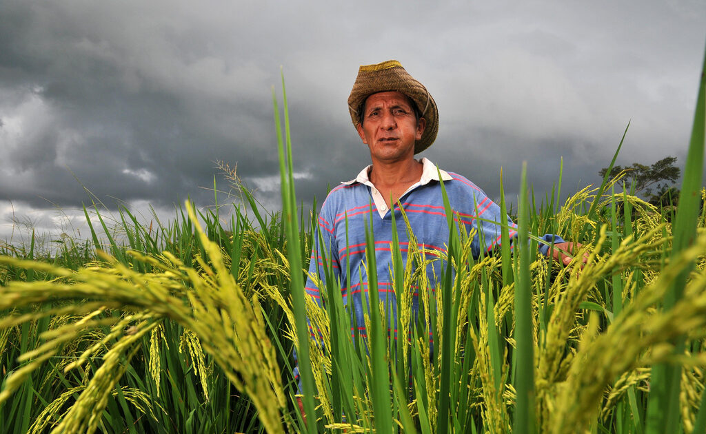 Bolivian farmer