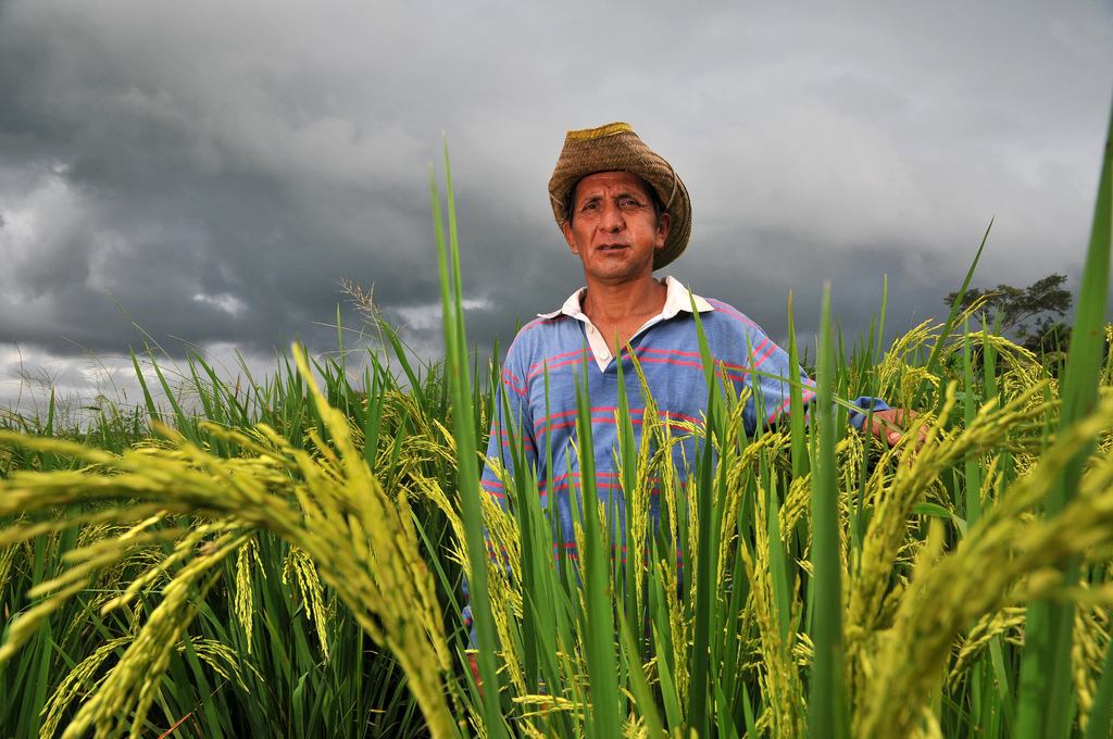 Bolivian farmer