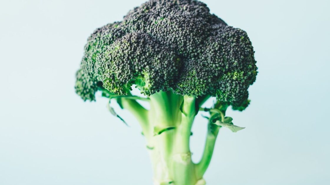 Image of broccoli head which contains sulforaphane, which are powerful broccoli sprouts benefits