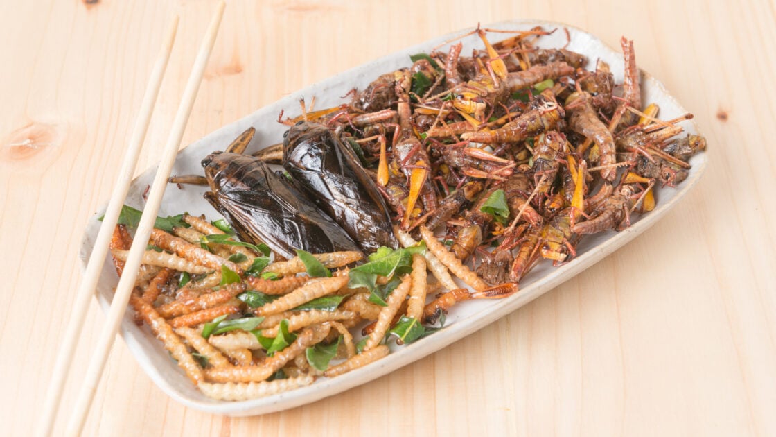 Bug Appetit! 7 Scary-Good Bug Dishes to Get Past Your Fear of Eating Insects