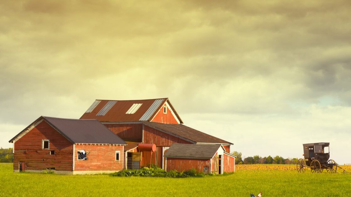 iStock/Maksymowicz