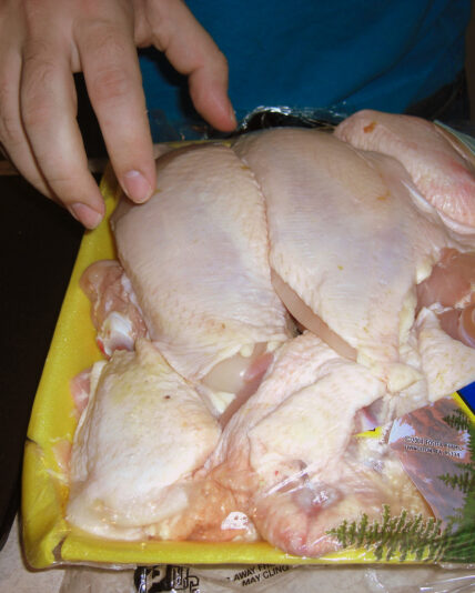 chicken