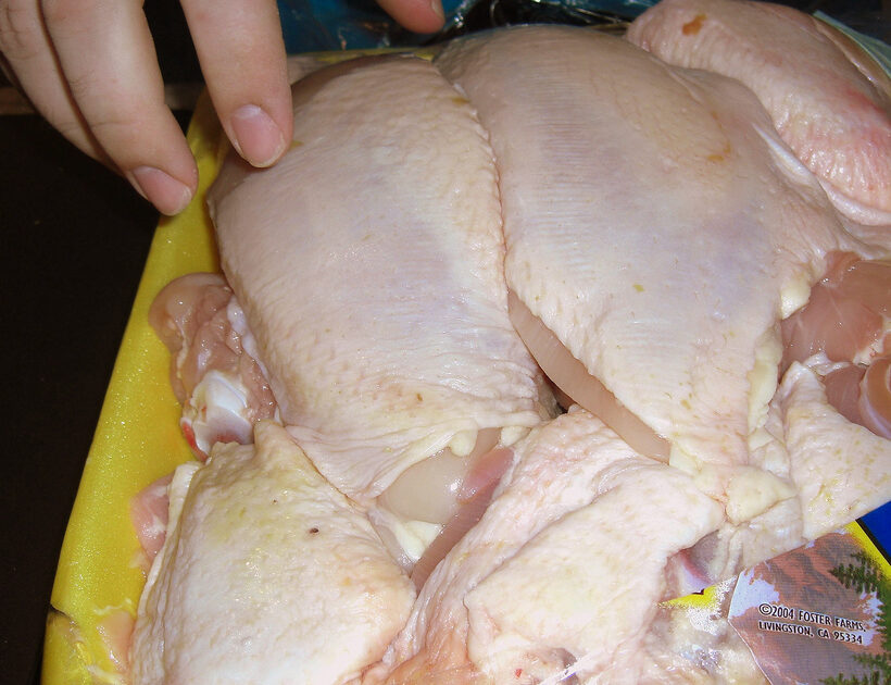 chicken