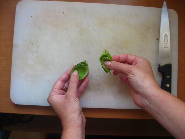 chiffonade4