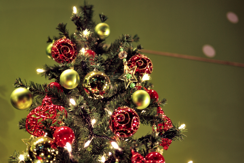 Is Your Christmas Tree Sprayed With Pesticides? Organic Authority