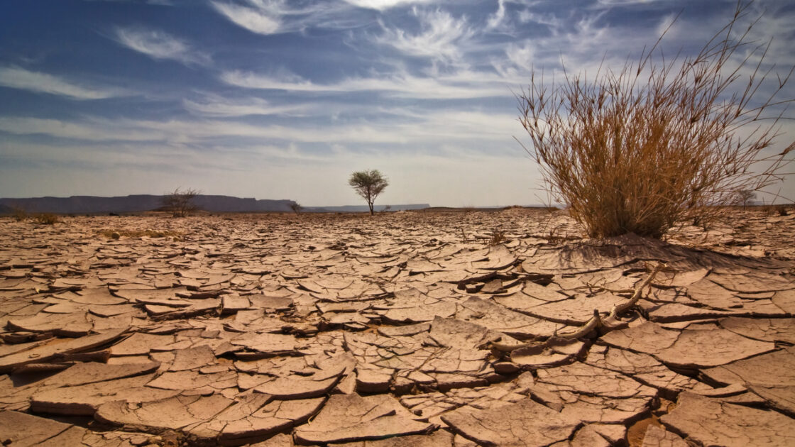 Climate Change Will Lead to Profound Food Insecurity Worldwide, New Study Shows