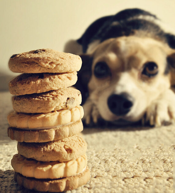cookies