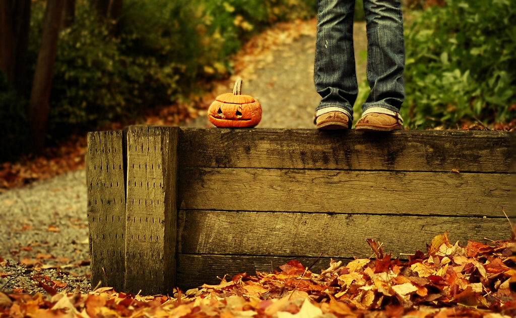 No-carve cool pumpkin ideas.