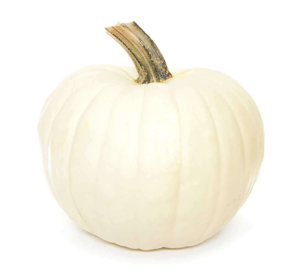 cotton candy pumpkin