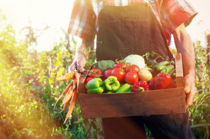 organic food