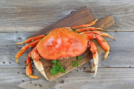 Amnesic Shellfish Poisoning Linked to California's Dungeness Crabs