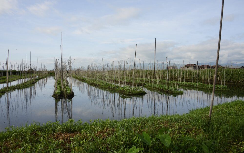 floating farms