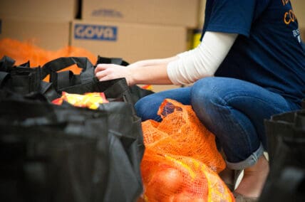 food drive