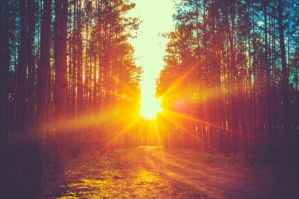 We've collected amazing Instagram pics from around the world to celebrate Earth Day.