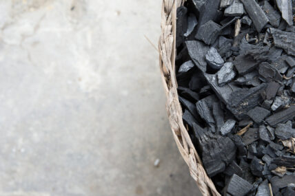 6 Expert-Backed Reasons Activated Charcoal Rocks for Your Health