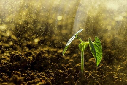 General Mills Invests in Soil Research at the University of Minnesota