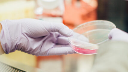 GMO Technology's Role in the Future of Food Is Not What You Might Expect